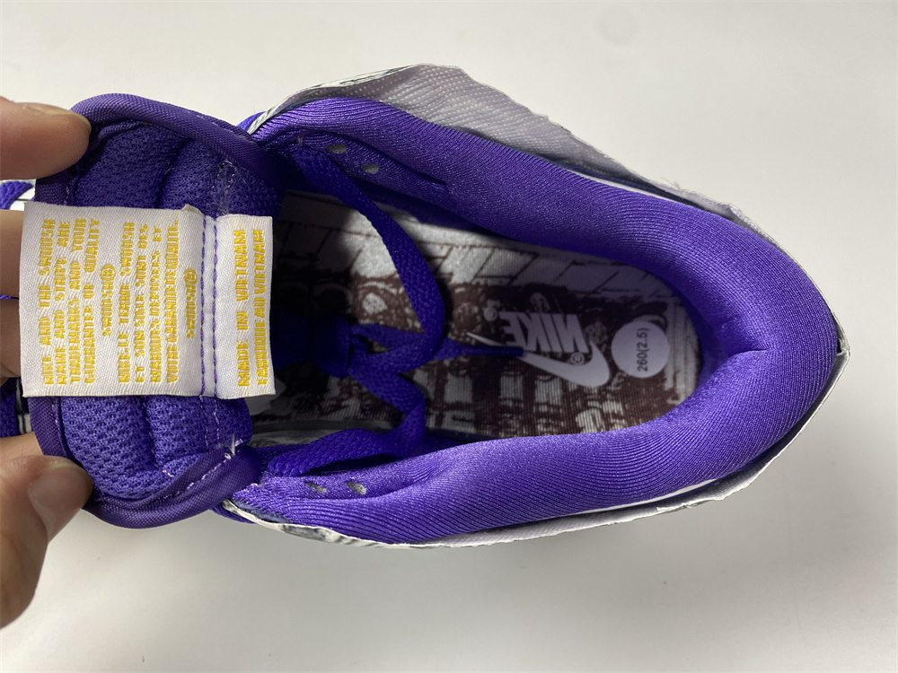 Nike Dunk Low DJ4636-100